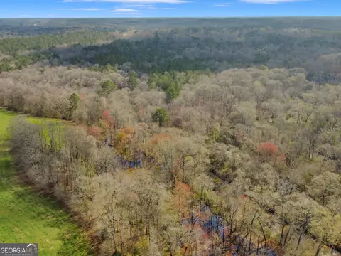 View/Area - 138 Lewis Rd, Jackson, GA 30233 photo 6 of 12