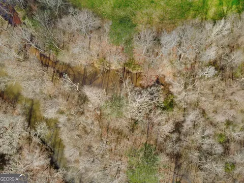 Other - 138 Lewis Rd, Jackson, GA 30233 photo 6 of 9