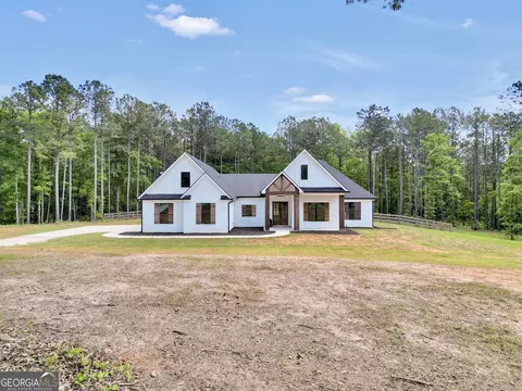 Exterior - 787 Silver Dollar Rd, Milner, GA 30257 photo 8 of 9