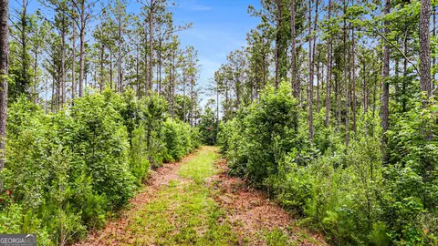 0 Howard Rd, Roberta, GA 31078 photo 11