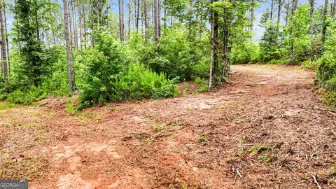 0 Howard Rd, Roberta, GA 31078 photo 13