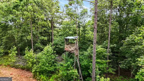 0 Howard Rd, Roberta, GA 31078 photo 12