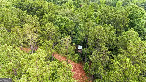 0 Howard Rd, Roberta, GA 31078 photo 4