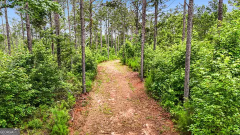 0 Howard Rd, Roberta, GA 31078 photo 14