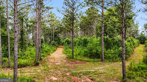 0 Howard Rd, Roberta, GA 31078 photo 8