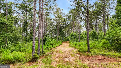 0 Howard Rd, Roberta, GA 31078 photo 10