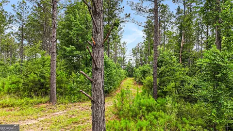 0 Howard Rd, Roberta, GA 31078 photo 9