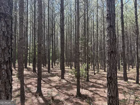 tbd Wriley Rd, Mcintyre, GA 31054