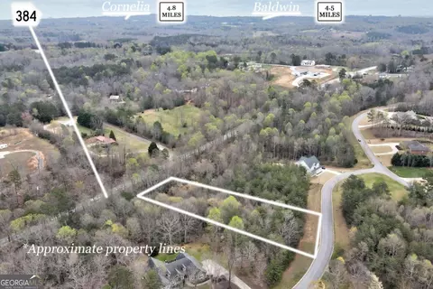 450 Beachwood Dr, Cornelia, GA 30531 photo 6