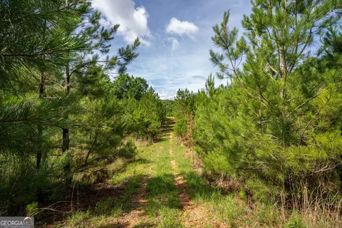 2286 Duffell Martin Rd, Comer, GA 30629 photo 25