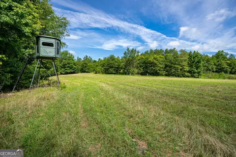 2286 Duffell Martin Rd, Comer, GA 30629 photo 23