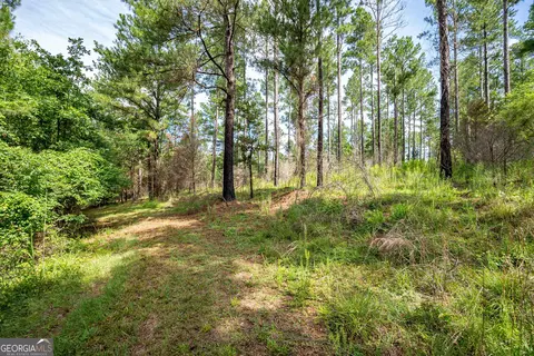 2286 Duffell Martin Rd, Comer, GA 30629 photo 32