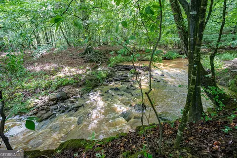 2286 Duffell Martin Rd, Comer, GA 30629 photo 29