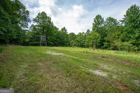2286 Duffell Martin Rd, Comer, GA 30629 photo 36