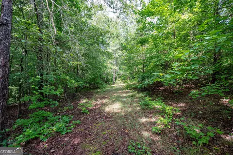 2286 Duffell Martin Rd, Comer, GA 30629 photo 30