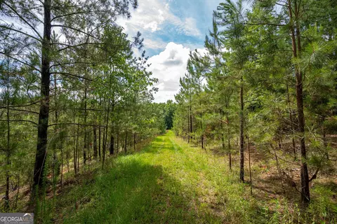 2286 Duffell Martin Rd, Comer, GA 30629 photo 34
