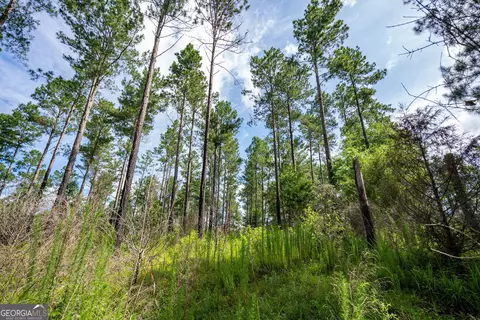 2286 Duffell Martin Rd, Comer, GA 30629 photo 33