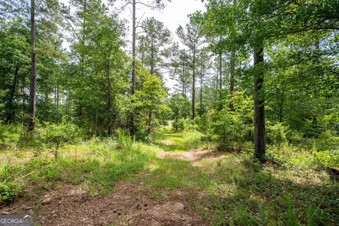 2286 Duffell Martin Rd, Comer, GA 30629 photo 38