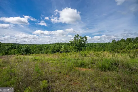 2286 Duffell Martin Rd, Comer, GA 30629 photo 16