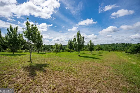 2286 Duffell Martin Rd, Comer, GA 30629 photo 12