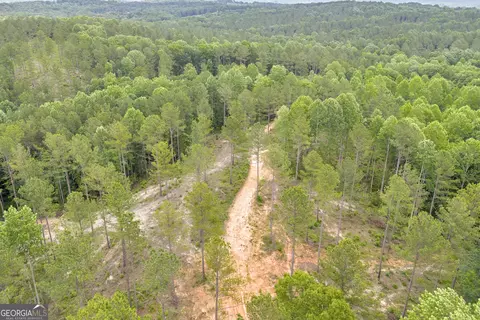 0 Mt Sinai #LOT 3, Lula, GA 30554 photo 31