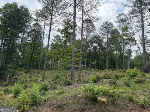 0 Mt Sinai #LOT 3, Lula, GA 30554 photo 57