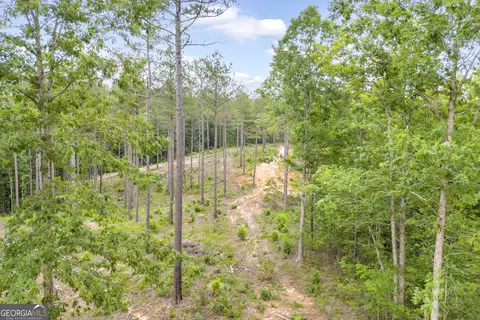 0 Mt Sinai #LOT 3, Lula, GA 30554 photo 27