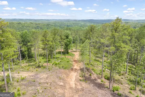 0 Mt Sinai #LOT 3, Lula, GA 30554 photo 37