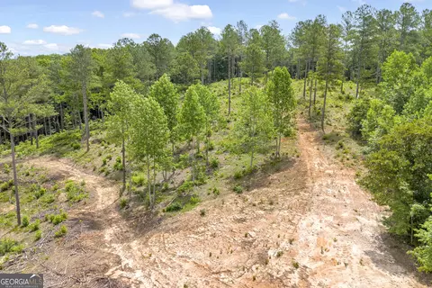 0 Mt Sinai #LOT 3, Lula, GA 30554 photo 36