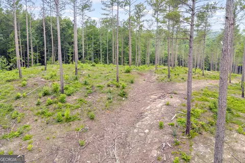 0 Mt Sinai #LOT 3, Lula, GA 30554 photo 25