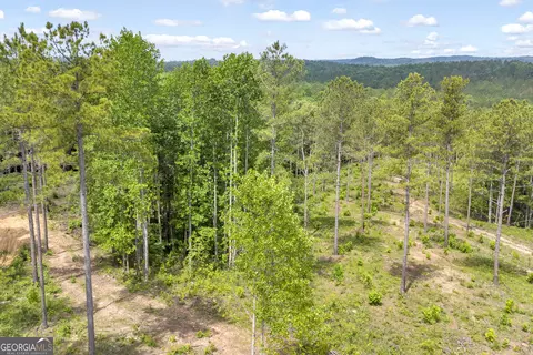 0 Mt Sinai #LOT 3, Lula, GA 30554 photo 38