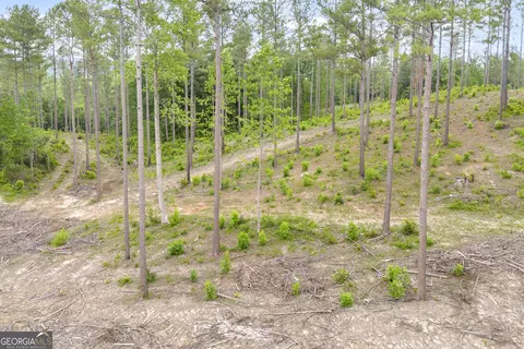 0 Mt Sinai #LOT 3, Lula, GA 30554 photo 21