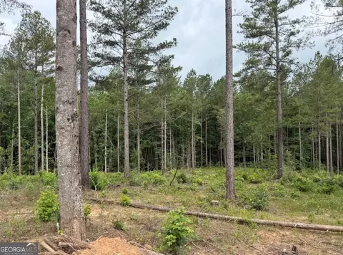 0 Mt Sinai #LOT 3, Lula, GA 30554 photo 56