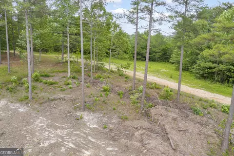 0 Mt Sinai #LOT 3, Lula, GA 30554 photo 22