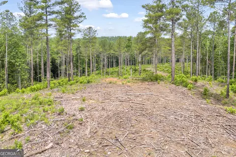 0 Mt Sinai #LOT 3, Lula, GA 30554 photo 32