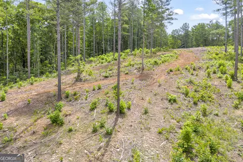 0 Mt Sinai #LOT 3, Lula, GA 30554 photo 35