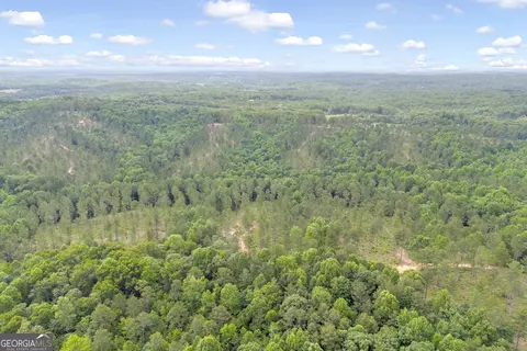 0 Mt Sinai #LOT 3, Lula, GA 30554 photo 40