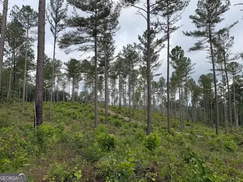 0 Mt Sinai #LOT 3, Lula, GA 30554 photo 44