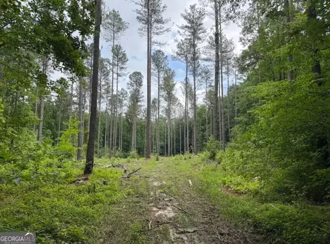 0 Mt Sinai #LOT 3, Lula, GA 30554 photo 60