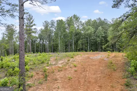 0 Mt Sinai #LOT 3, Lula, GA 30554 photo 43