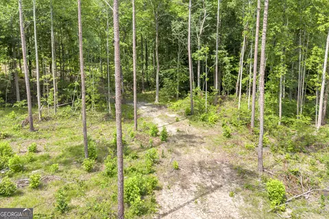 0 Mt Sinai #LOT 3, Lula, GA 30554 photo 33
