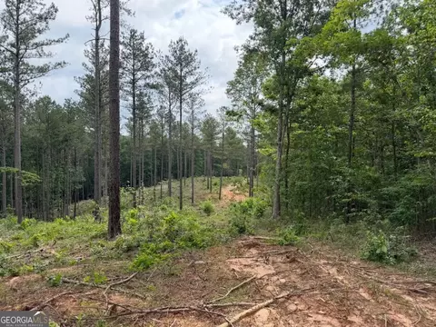 0 Mt Sinai #LOT 3, Lula, GA 30554 photo 50