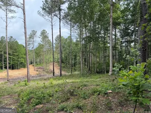 0 Mt Sinai #LOT 3, Lula, GA 30554 photo 54