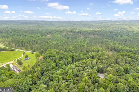 0 Mt Sinai #LOT 3, Lula, GA 30554 photo 39