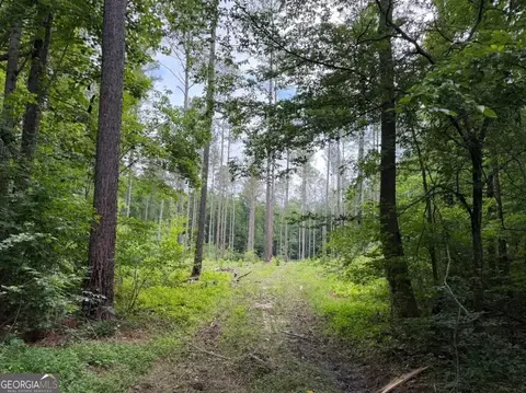 0 Mt Sinai #LOT 3, Lula, GA 30554 photo 58