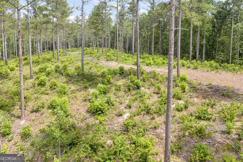 0 Mt Sinai #LOT 3, Lula, GA 30554 photo 34