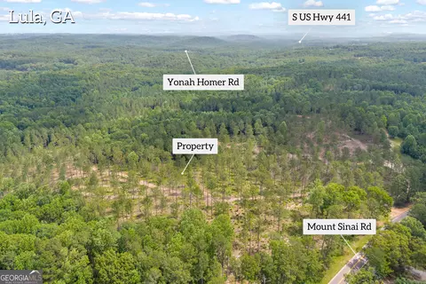 0 Mt Sinai #LOT 3, Lula, GA 30554 photo 3