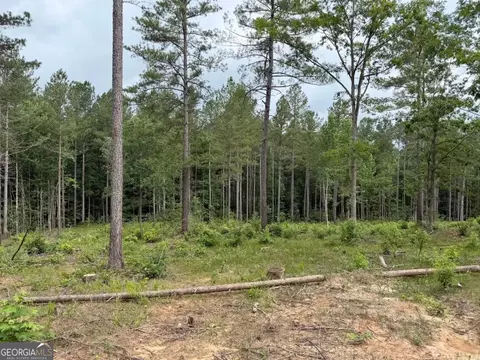 0 Mt Sinai #LOT 3, Lula, GA 30554 photo 55