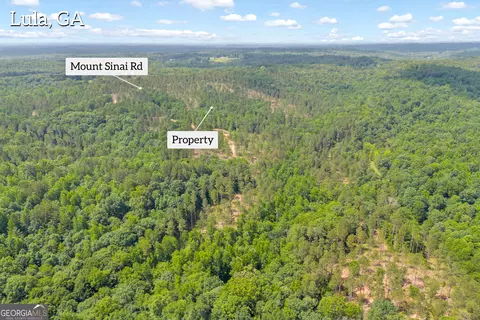 0 Mt Sinai #LOT 3, Lula, GA 30554 photo 5