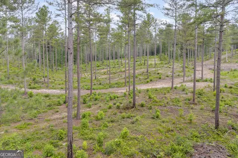 0 Mt Sinai #LOT 3, Lula, GA 30554 photo 7
